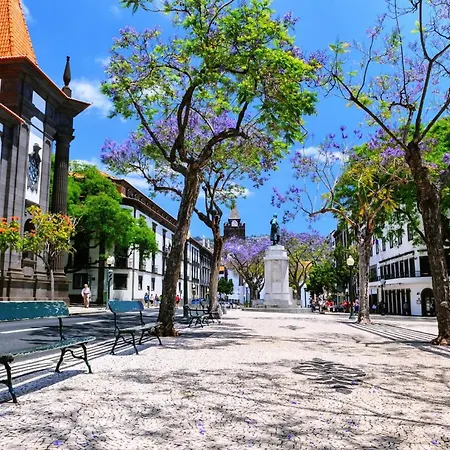 Barreirinha Front-line Sea View I By Hr Madeira شقة